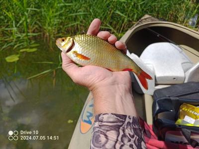IMG_20240705_145110_BURST1.jpg