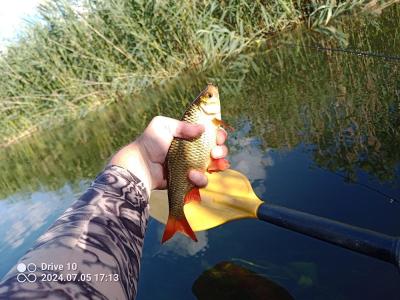 IMG_20240705_171335_096.jpg