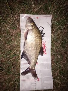 IMG_20240708_220256_copy_1536x2040.jpg