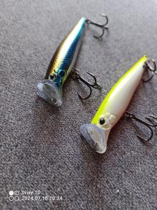 IMG_20240716_103444_917.jpg