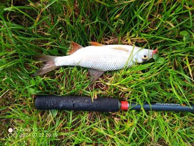 IMG_20240722_201906_588.jpg