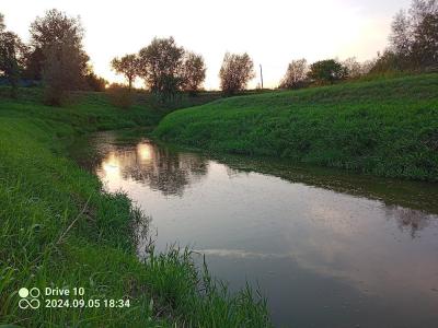 IMG_20240905_183445_430.jpg