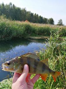IMG_20240923_140539_copy_3840x5120.jpg