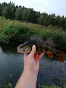 IMG_20240926_104317_copy_3840x5120.jpg