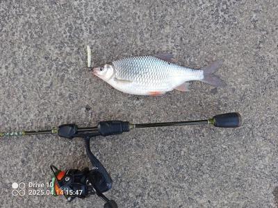 IMG_20250414_154758_174.jpg