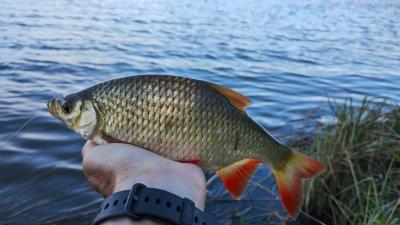 IMG_20250416_170431732.thumb.jpg.9846179270260fe8fb4fb5726c24d131.jpg