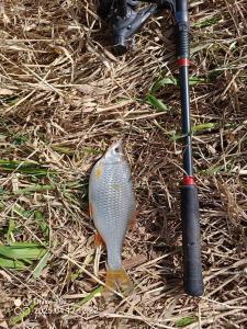 IMG_20250417_122228_538.jpg