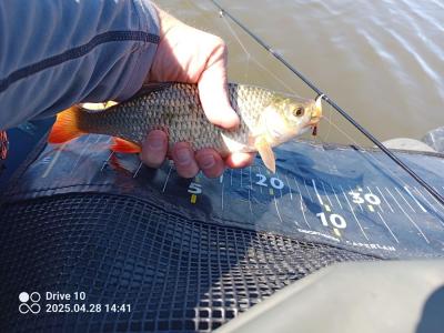 IMG_20250428_144121_444.jpg