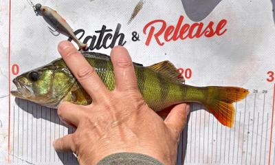 IMG_20250504_185450.jpg