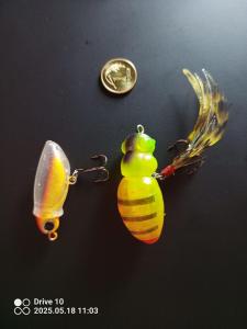 IMG_20250518_110344_820.jpg