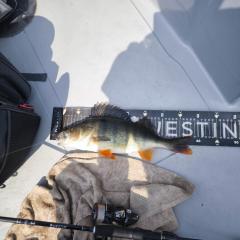 IMG_20250503_130519.jpg