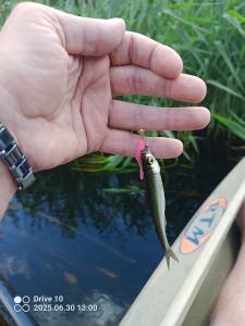 IMG_20250630_130044_940.jpg
