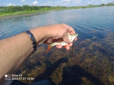 IMG_20250721_160601_329.jpg