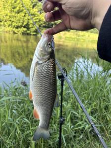 IMG_3267.jpeg