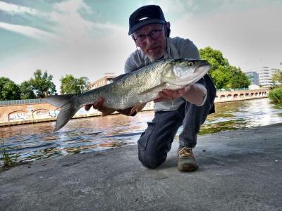 P1480042_easyHDR-BASIC-2.thumb.jpg.d4d2b78d5144910e634daf99264bbb6e.jpg