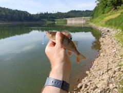 IMG_20250706_090023.jpg