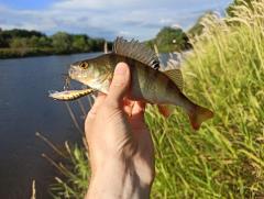 IMG_20250722_190821.jpg