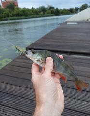 IMG_20250728_224913.jpg