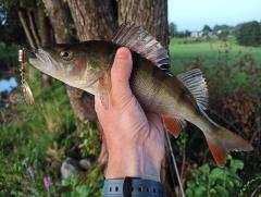 IMG_20250819_202222.jpg