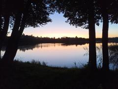 IMG_20250820_203704.jpg