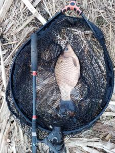 IMG_20260416_191544_254.jpg