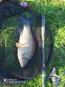 IMG_20260422_174238_483.jpg