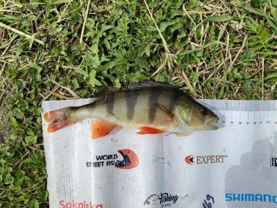 IMG_20260426_112224.jpg