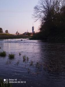 IMG_20260428_201212_371.jpg