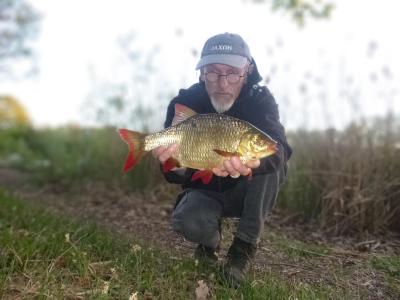 P14802132.thumb.JPG.16f1cbf11e76dba083454fb93fb1d225.JPG