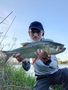 IMG_20260503_191345393_HDRa.thumb.jpg.876e3c0a99b5c07a1bb3bab70e766117.jpg