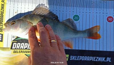 IMG_20260503_191620.jpg