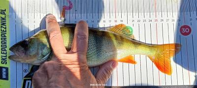 IMG_20260505_174451.jpg
