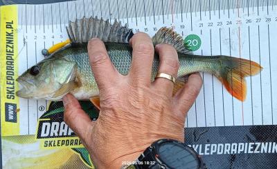 IMG_20260506_215034.jpg