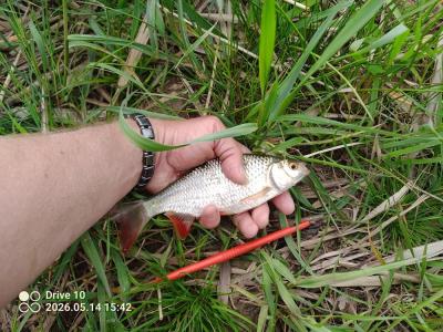 IMG_20260514_154201_398.jpg