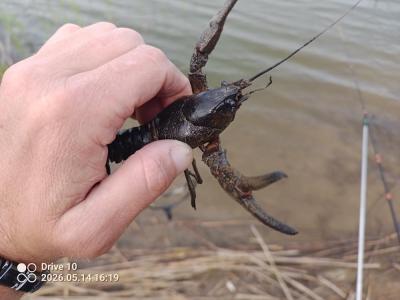 IMG_20260514_161917_379.jpg