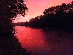 IMG_20260514_202844.jpg