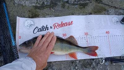 IMG_20260617_155127661.thumb.jpg.400e32d9bc554eca53f2c7ef19b2dca7.jpg