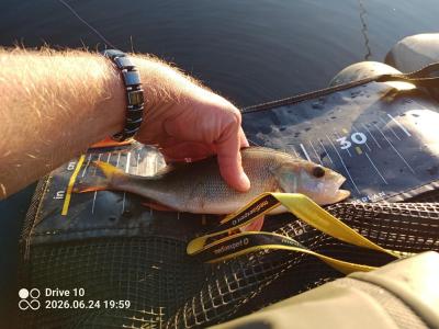 IMG_20260624_195954_021.thumb.jpg.600a80a3dc06d6925e578c4960e7cb0e.jpg