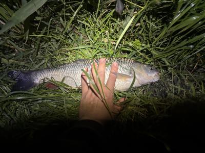 IMG_5591.jpeg