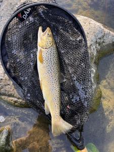 IMG_5618.jpeg