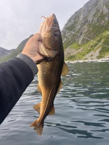 IMG_5762.jpeg
