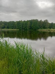 IMG_20260702_062327_HDR.jpg
