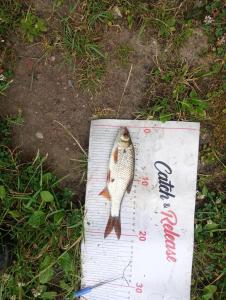 IMG_20260702_064536.jpg