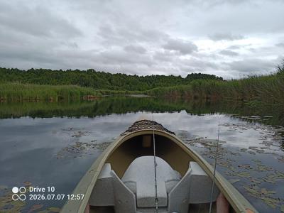 IMG_20260707_125714_448.thumb.jpg.8ec1a8784ad9d0ca3afeedc5413762e3.jpg