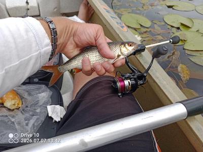 IMG_20260707_134219_936.thumb.jpg.64ca70167cf4a73ae2fbea449d30b4e4.jpg