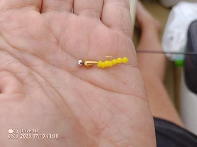 IMG_20260710_111035_150.thumb.jpg.3b27850200a131d365c81e860fb17fbf.jpg