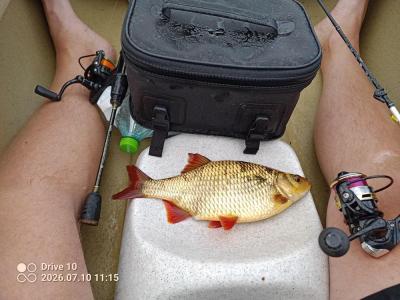 IMG_20260710_111548_637.jpg