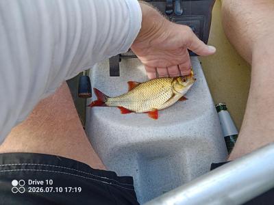 IMG_20260710_171941_609.jpg