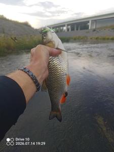 IMG_20260714_192954_106(1).thumb.jpg.8a6587eea6425eb6e3fb493ba708460e.jpg