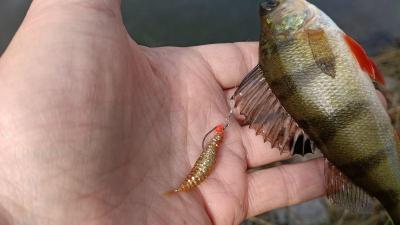 IMG_20260722_164140166.thumb.jpg.c93a4dc107c44bd13f7bbb7aca5811ec.jpg